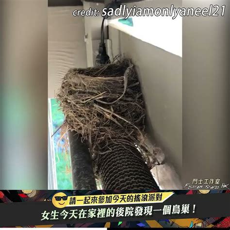 家裡的後院 發夢死人